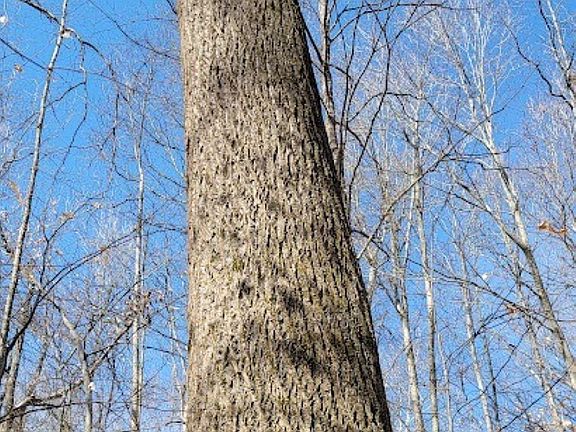 5th image of 60/ACRE S Defore Rd