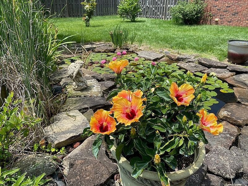 2499 Hillbrooke Pkwy, Owensboro, KY 42303 Zillow