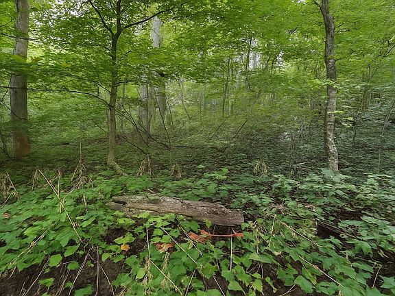 2nd image of 0 Nada Tunnel Rd