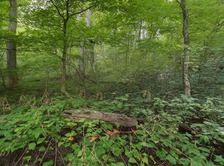 0 Nada Tunnel Rd, Stanton, KY 40380