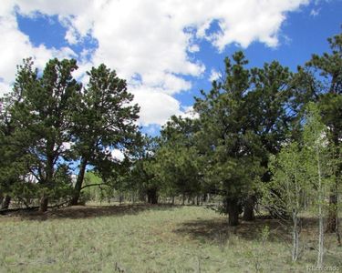 19 Deer Court, Como, CO, 80456