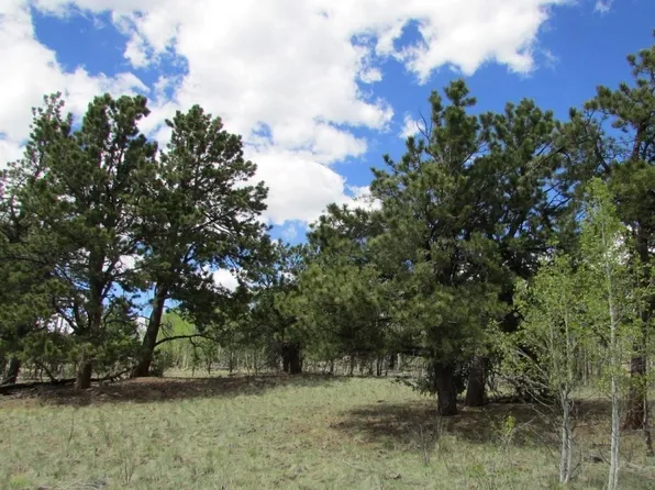 19 Deer Court, Jefferson, CO 80456