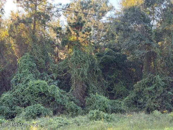 W Wortham Rd Lot 19, Saucier, MS 39574