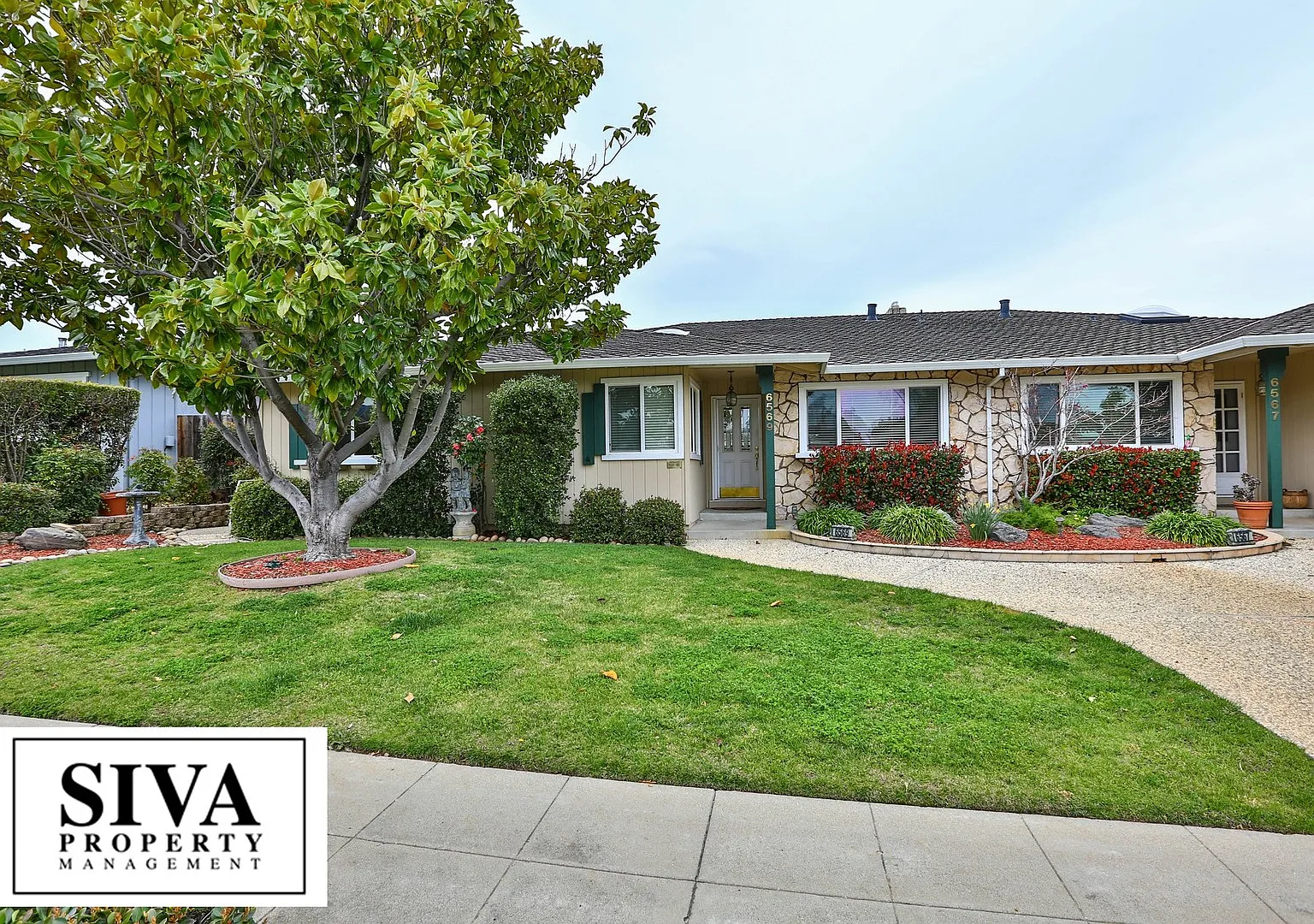 Almaden Beauty — Photo 1