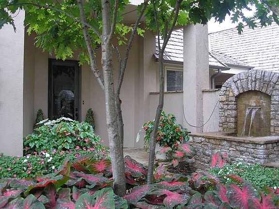 Tree covered entrance