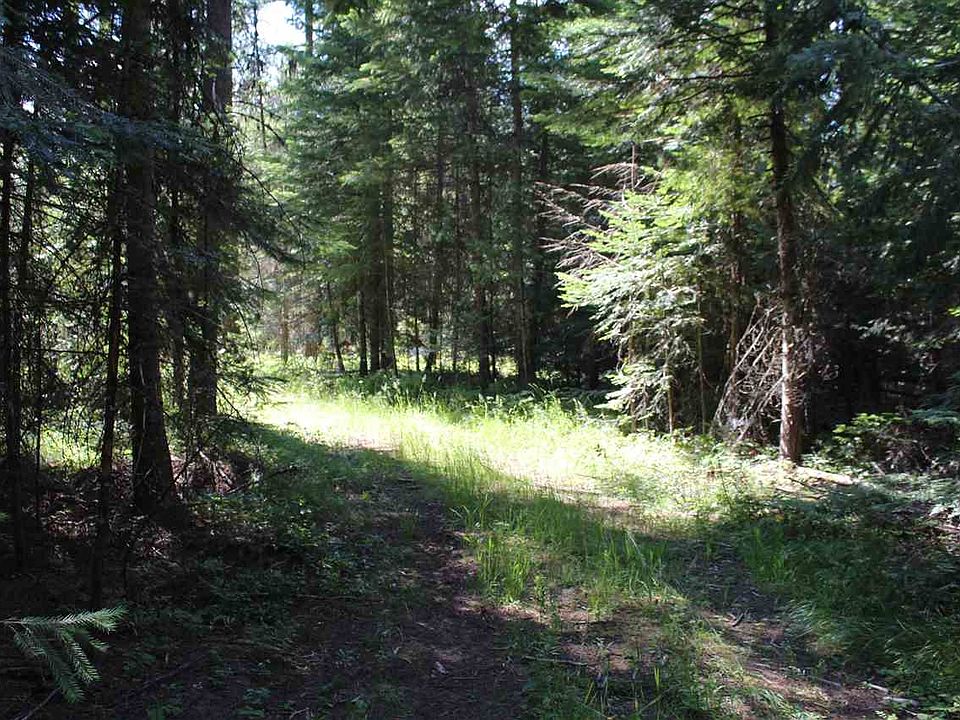 1st image of 205 Little Diamond Ln
