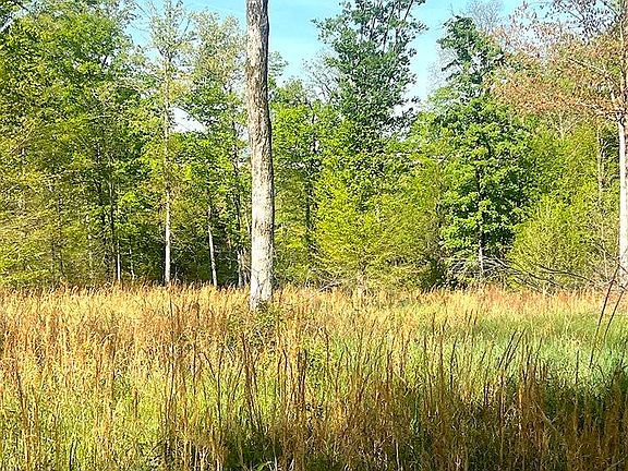 2nd image of Nixon Rd