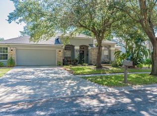 3810 Saddle Ridge St, Valrico, FL 33596