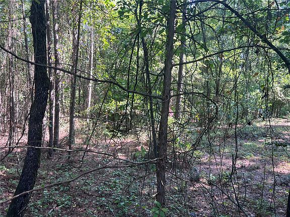 3rd image of 0 Oak Grove Rd