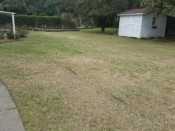 View of the backyard