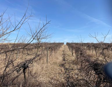 0 E Wagner Rd, Buchanan, MI, 49107