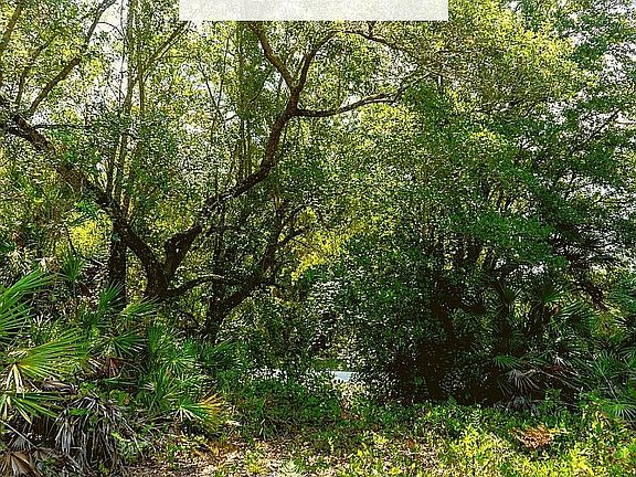 3rd image of 1002 Wildflower St