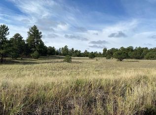 208 Washtub Rd, Cotopaxi, CO 81223