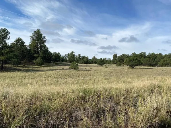 208 Washtub Rd, Cotopaxi, CO 81223