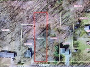 Bruce Rd, Akron, OH 44306