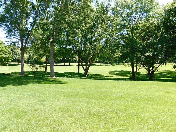 Beautiful backyard view