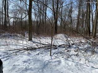 63460 Walnut Rd, Vandalia, MI 49095