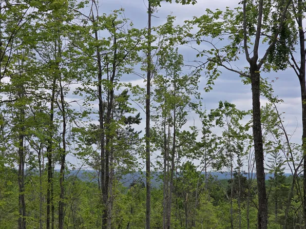 S Mount, Mio, MI 48647