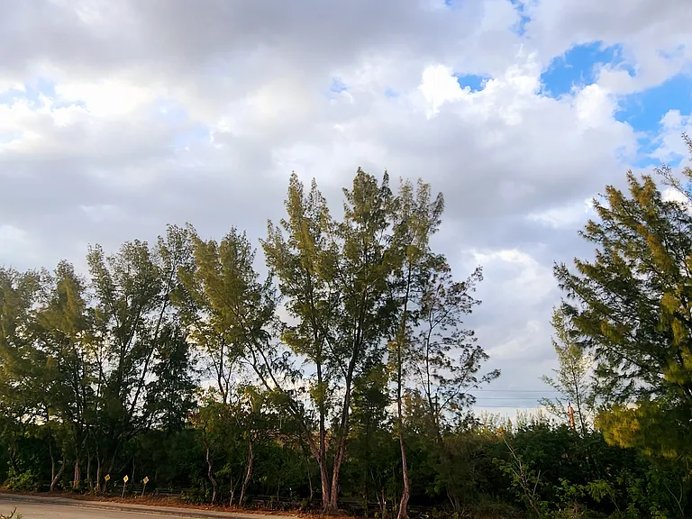 1180 NW 125th Path — Photo 19