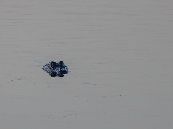 38th image of 1451 River Rd