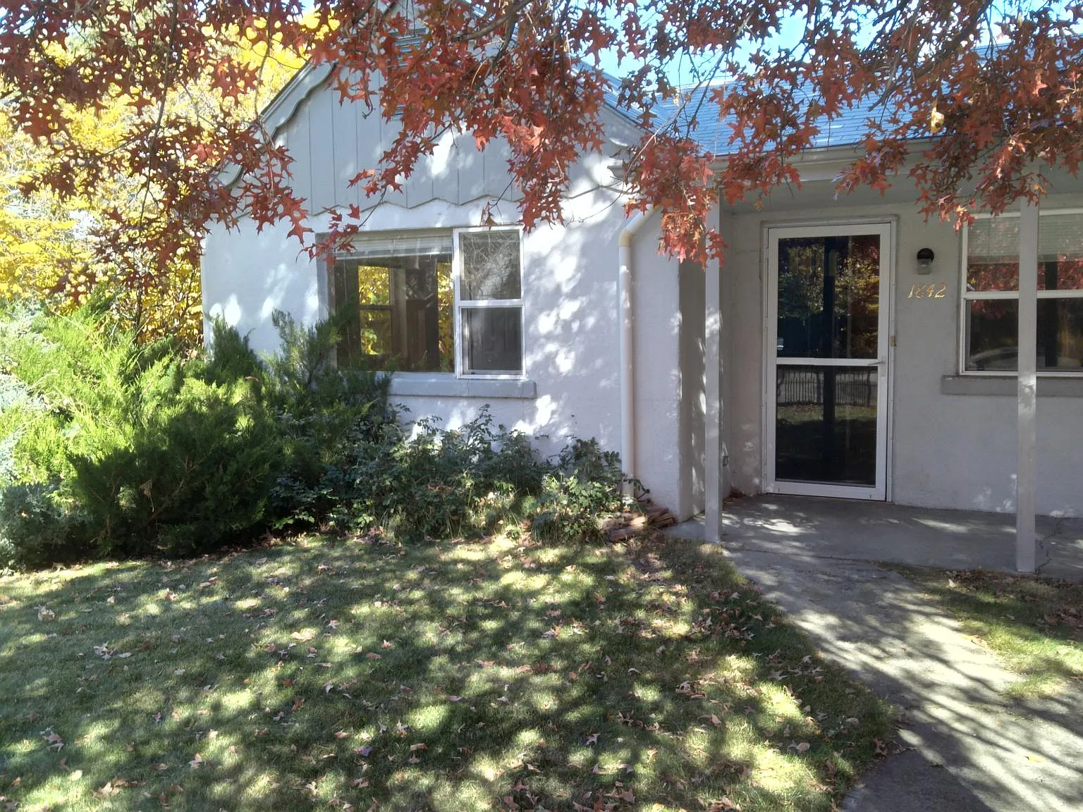1 bed, 550 sqft, $1,500 — Photo 1