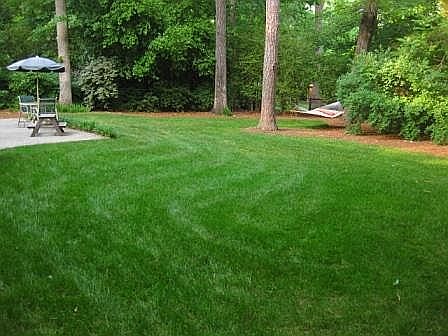 Spacious & Private Backyard