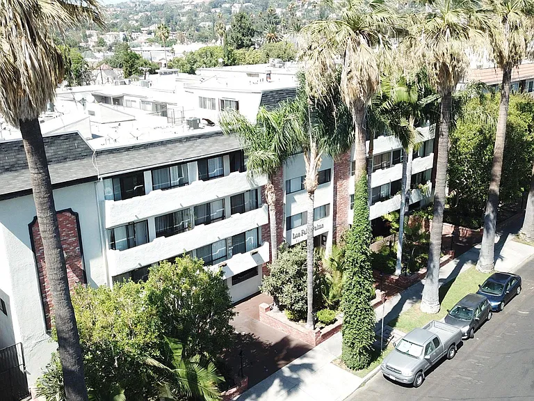 Los Feliz Palms — Photo 11