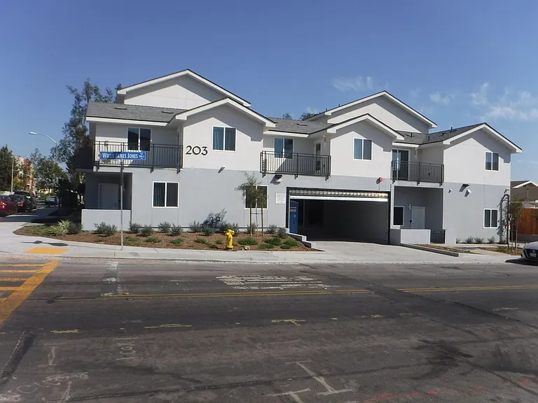 203 Willie James Jones Ave — Photo 16