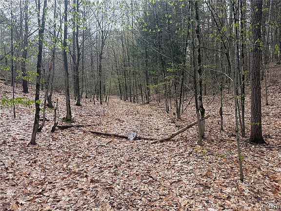 2nd image of Town Line Rd Lot 17