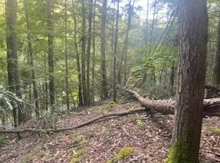 Tbd Poga Rd, Butler, TN 37640