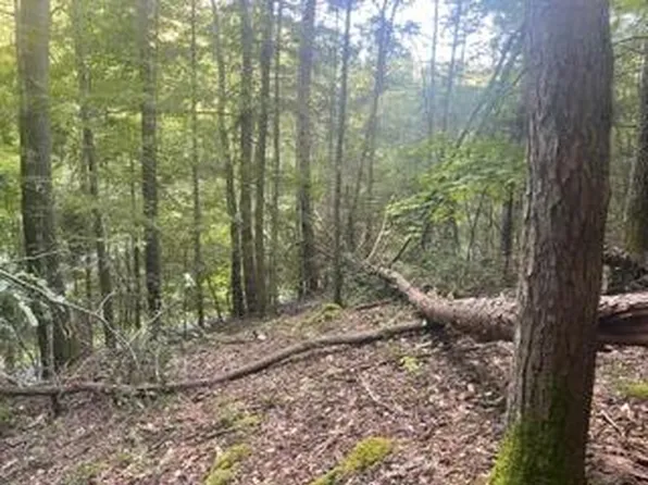 Tbd Poga Rd, Butler, TN 37640