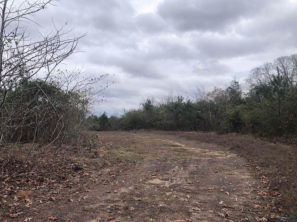 County Road 3663, Queen City, TX 75572 MLS 20227407 Zillow