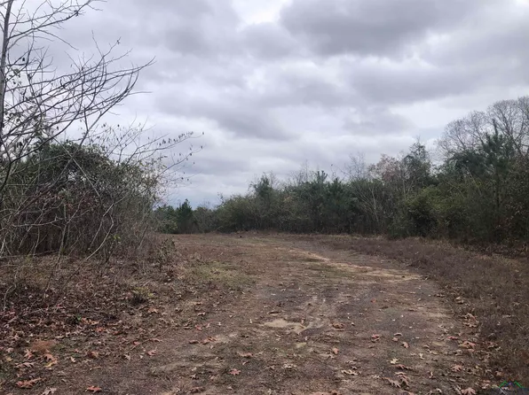 County Road 3663, Queen City, TX 75572