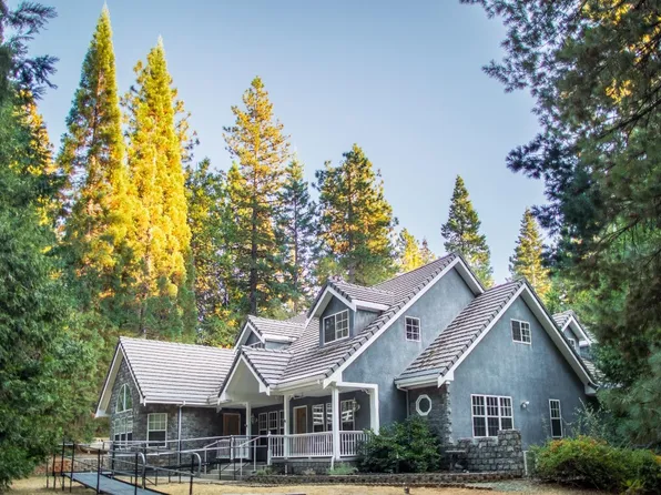 27190 Lodge Rd, Pioneer, CA 95666