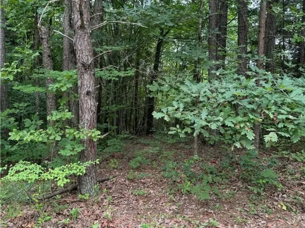720 John Henry Brown Rd #4, Clover, VA 24534