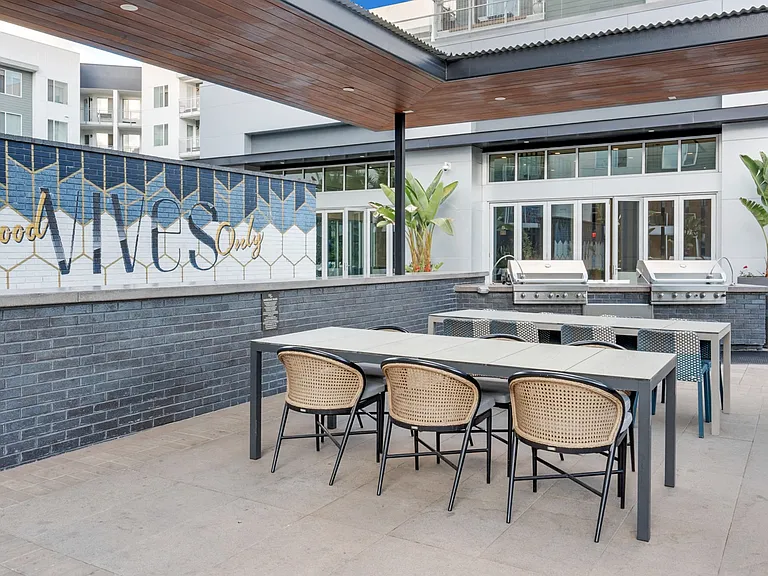 Vive Luxe, San Diego, CA, Barbecue Plaza