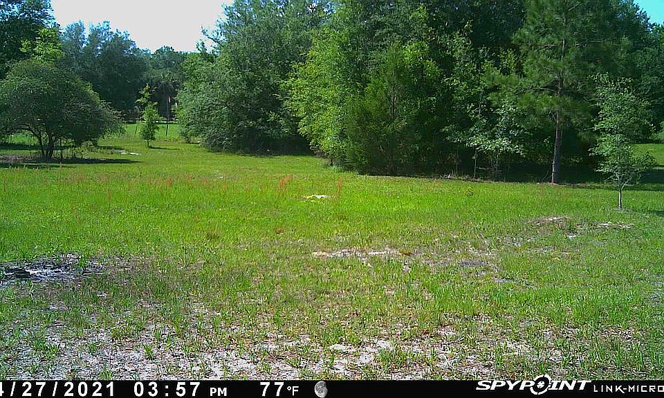 1st image of 1 NE 748th Ave