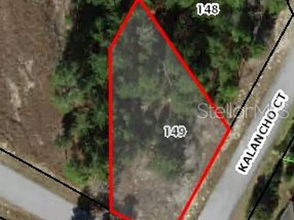 1 KALANCHOE COURT LOT 149, HOMOSASSA, FL 34446