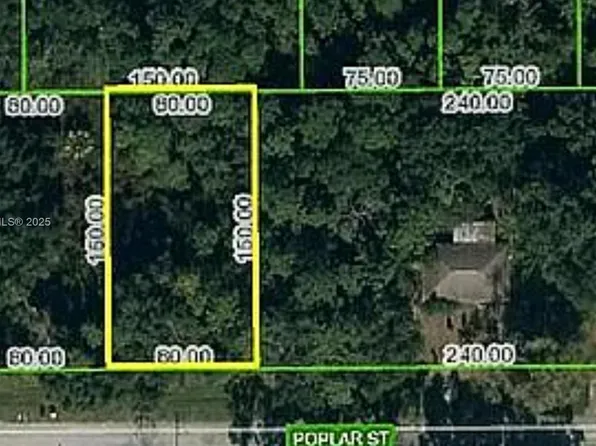 1508 Poplar St, Lake Placid, FL 33852