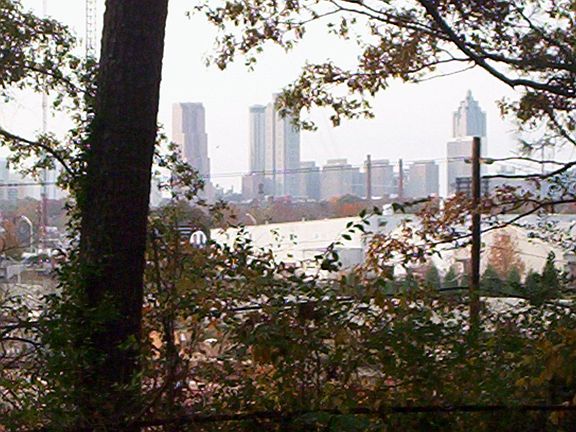 View from Back Bedroom