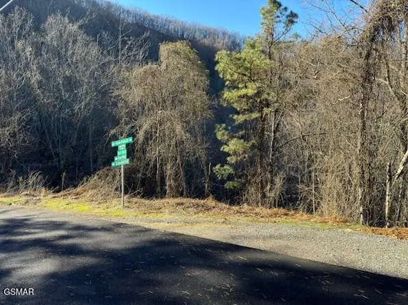 0 Balsam Slopes Rd, Sevierville, TN 37862