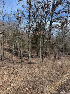 27 Saltillo Rd, Conway, AR, 72032