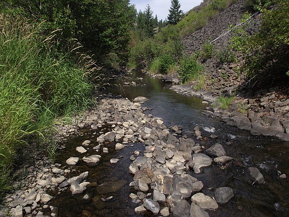 4th image of Nka Coon Creek