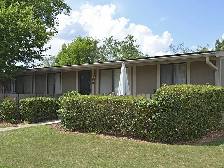 Pine Hill — Photo 11