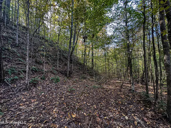 2075 County Road 180, New Albany, MS 38652