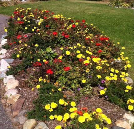 Landsaping & inground sprinklers