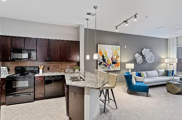 Gourmet kitchens with granite countertops