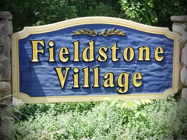 509 Fieldstone Ct, Chelsea, MI 48118