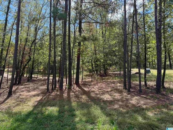 LOT 3B Cabin Rd, Bessemer, AL 35022