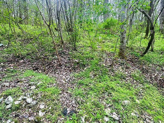 2nd image of 0 Lakeview Dr Lot 90
